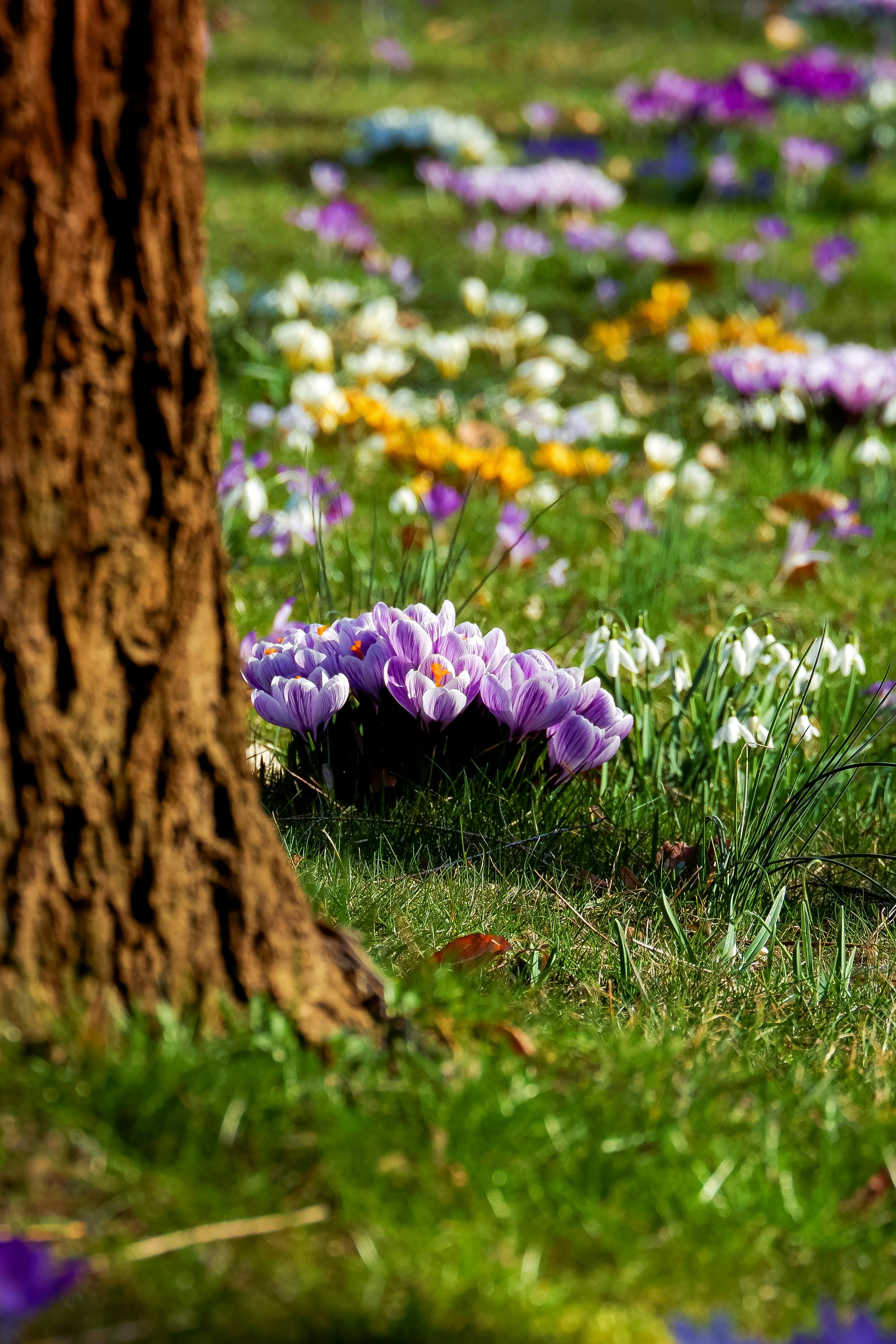 Image for Why We Visit Certain Places at Certain Times