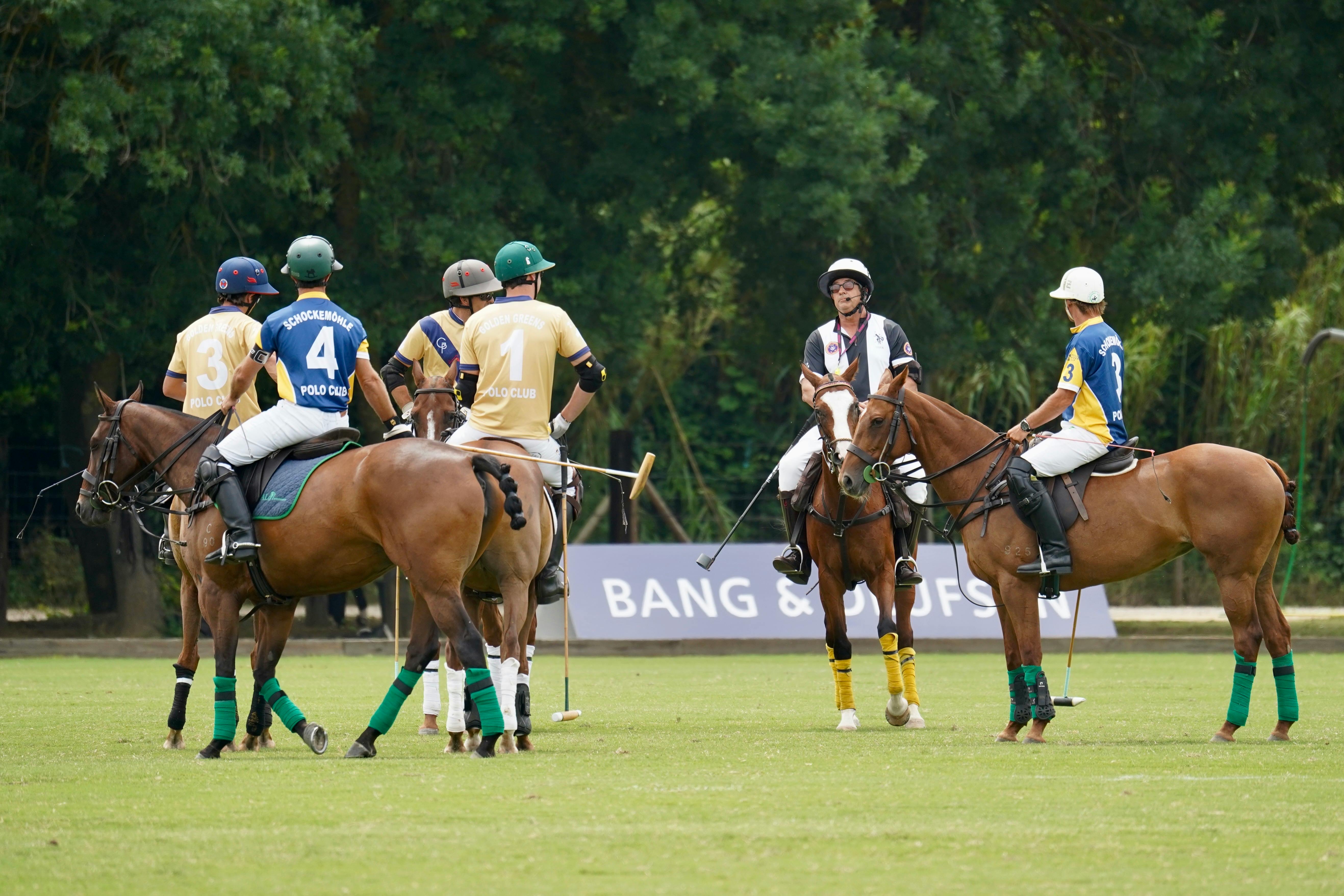 Image for Midhurst Town Cup Polo