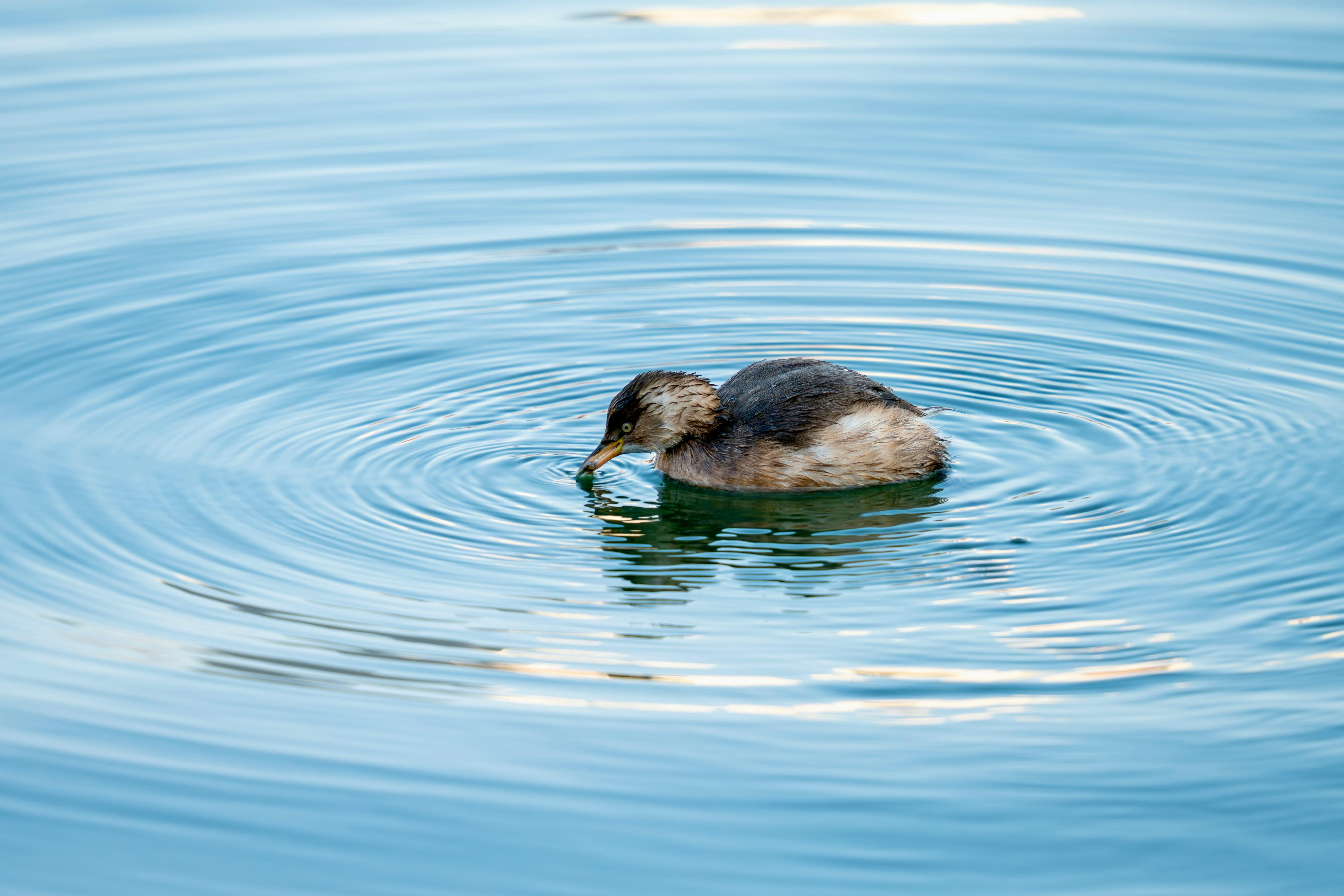 Image for Explore Egerton Park