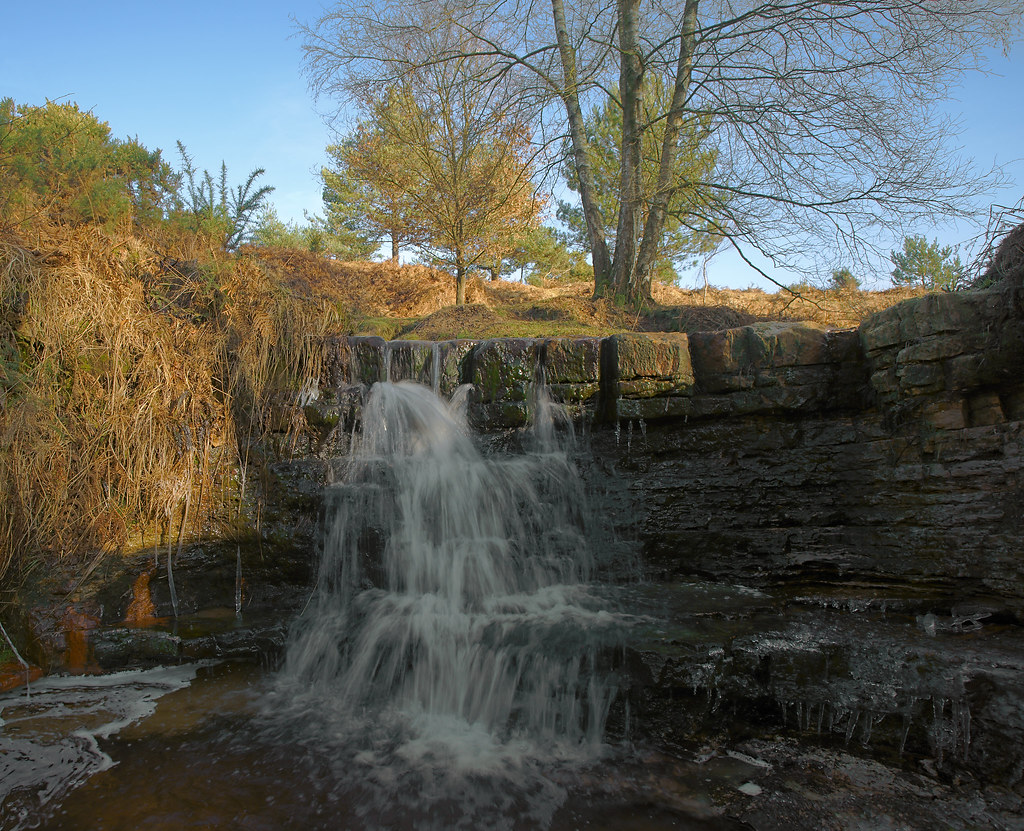 Image for Find Poohsticks Bridge in Ashdown Forest